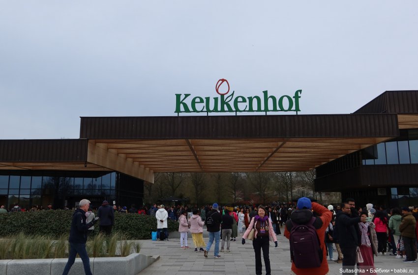 Голландия, Вермеер и цветы | Бэйбики Голландия, Вермеер и цветы