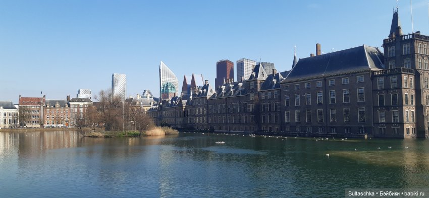 Голландия, Вермеер и цветы | Бэйбики Голландия, Вермеер и цветы