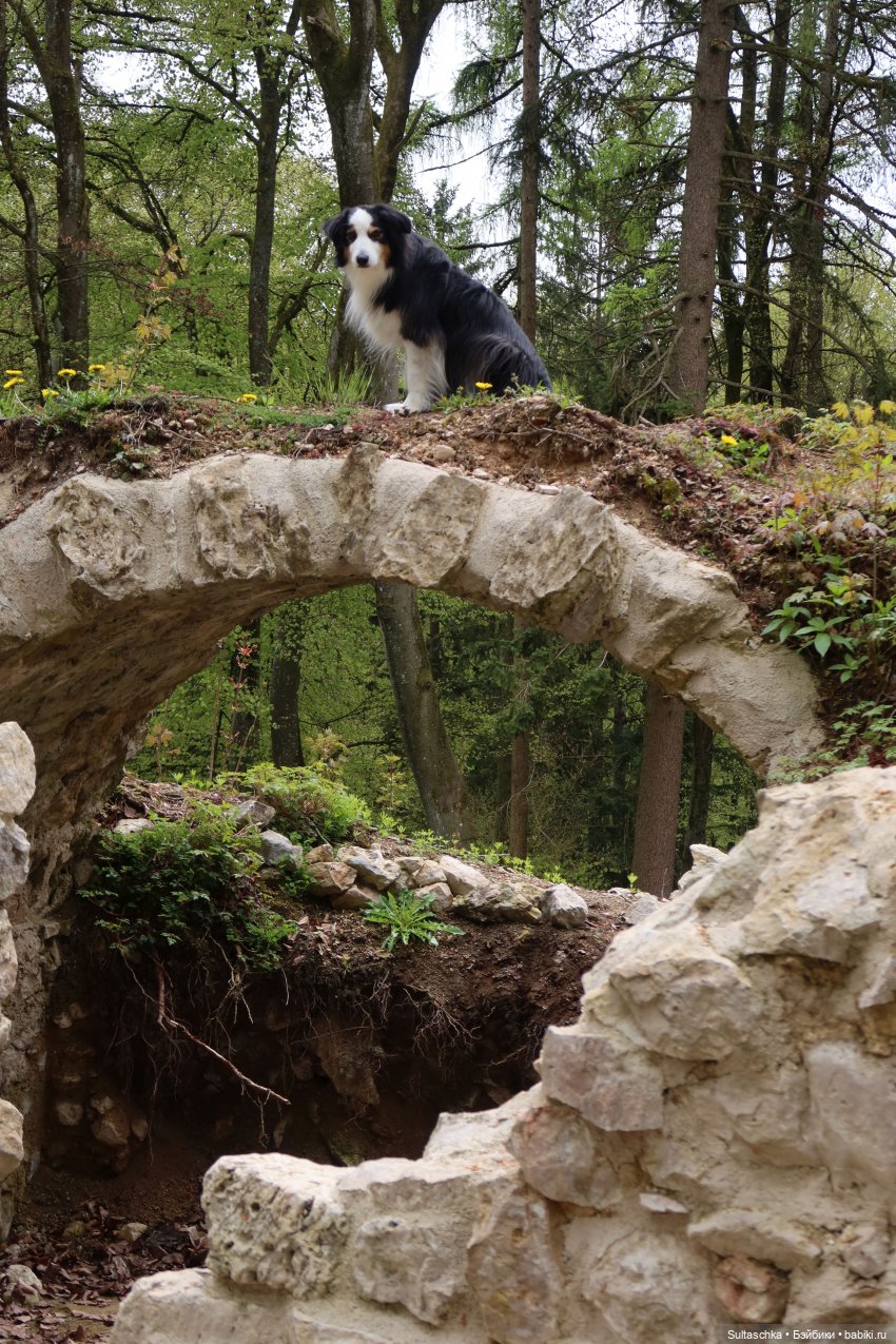 Май начался — Куклы Barbie (Барби): Looks