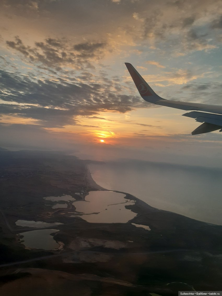 Светские хроники. Время вспять 2