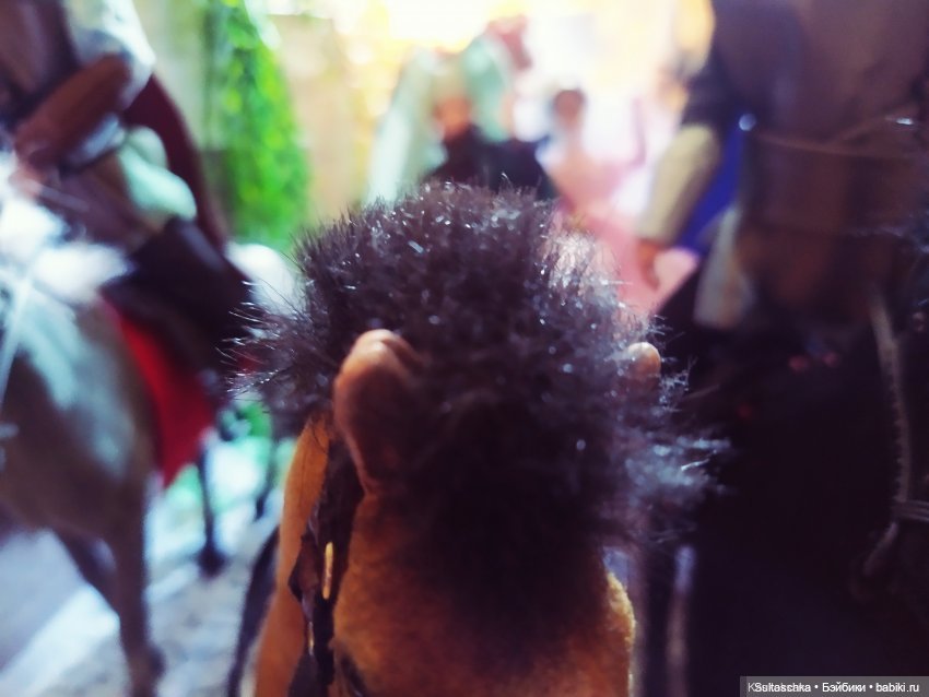 Ландсхутская свадьба 2023. Праздничное шествие (фото 4)