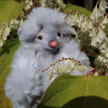 ФотоЧетверг. Осенние картинки