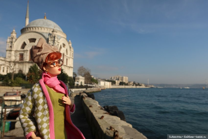 Зимний Стамбул и Люсенька (фото 7)