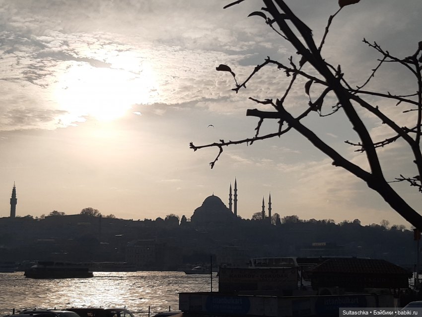 Зимний Стамбул и Люсенька (фото 5)