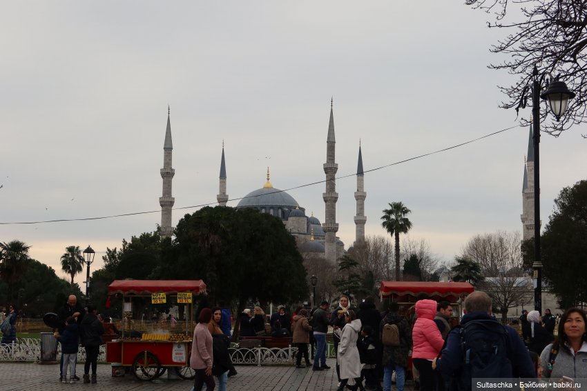 Зимний Стамбул и Люсенька