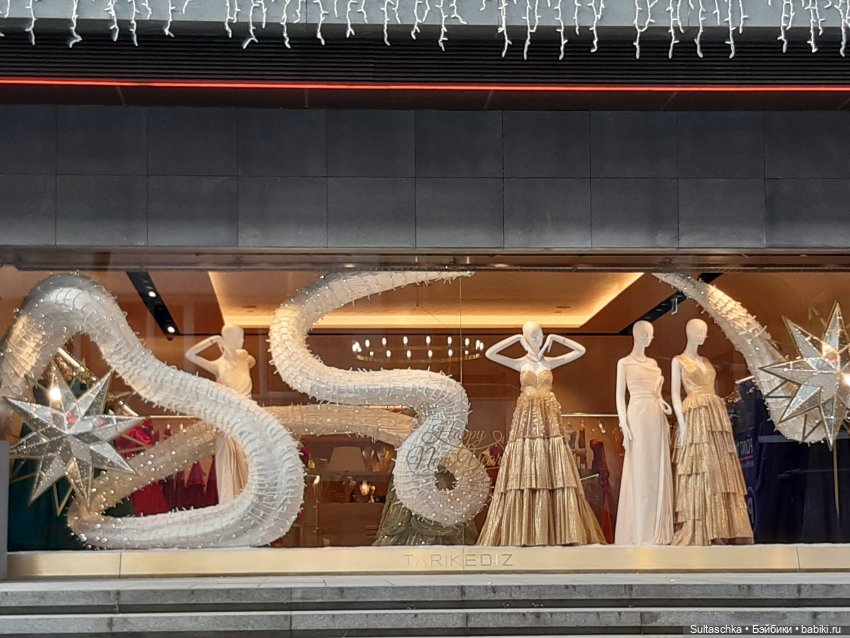 Зимний Стамбул и Люсенька (фото 8)