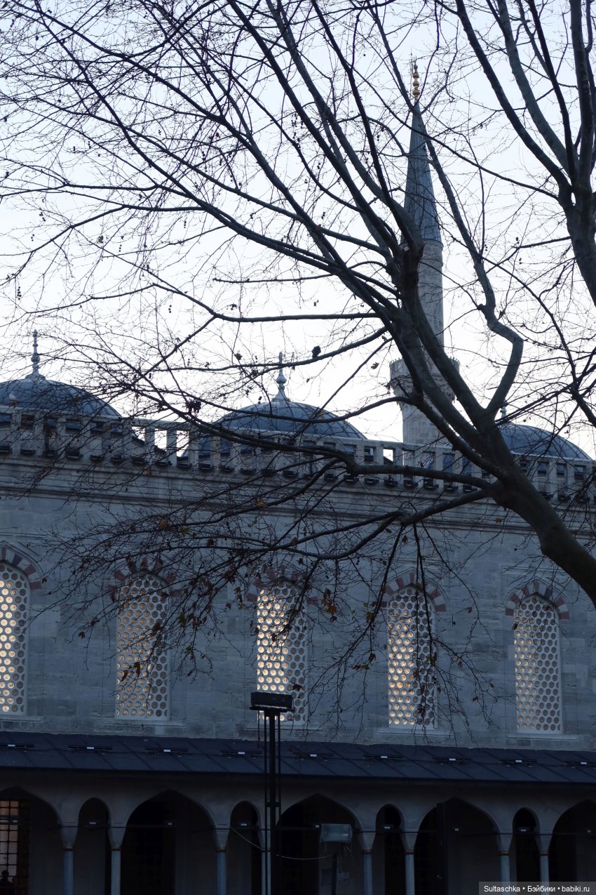 Зимний Стамбул и Люсенька