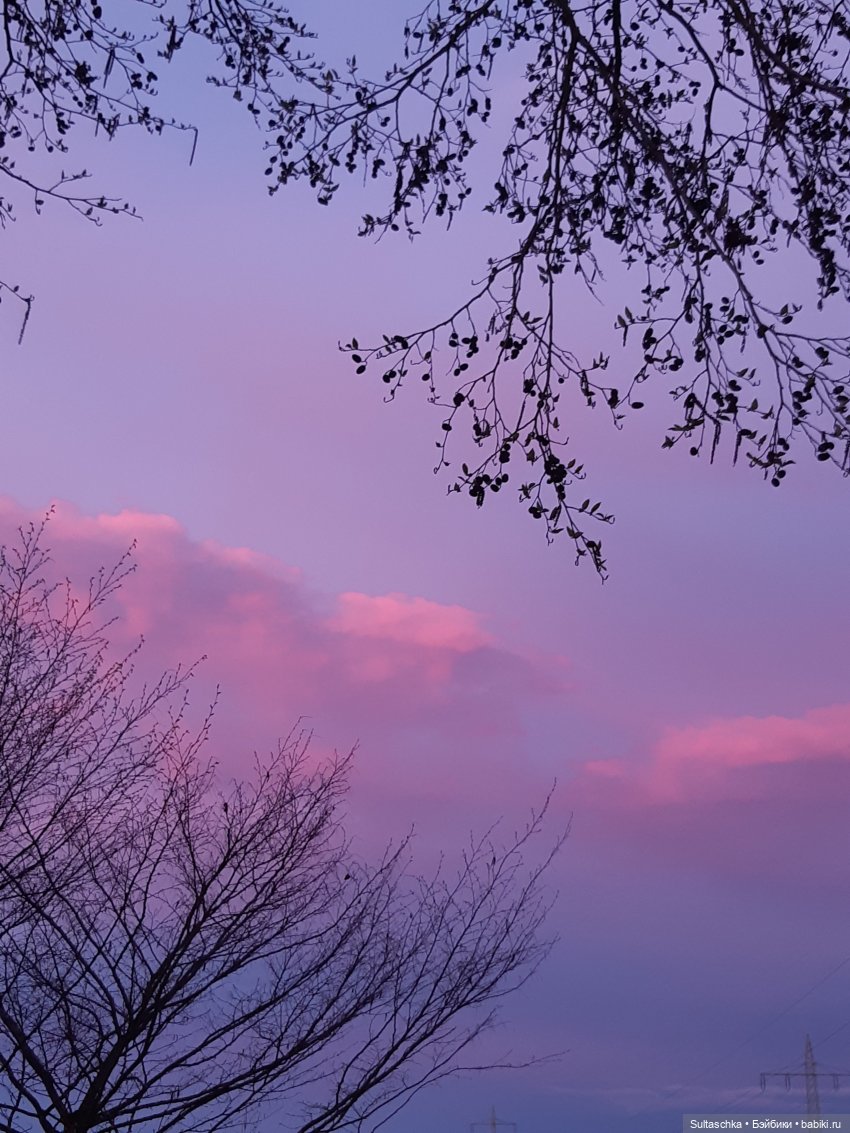 Из-под плинтуса — Аналоги Барби и куклы 1/6: клоны 90