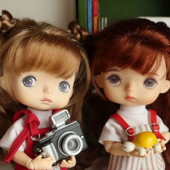 Про девчонок и черепах