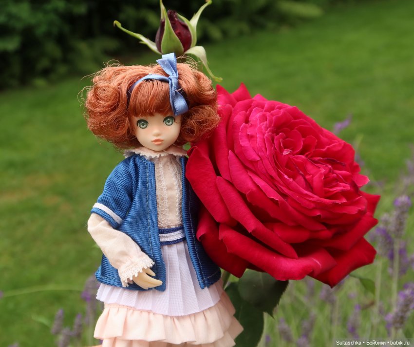 По следам Алисы и белого кролика (фото 6)