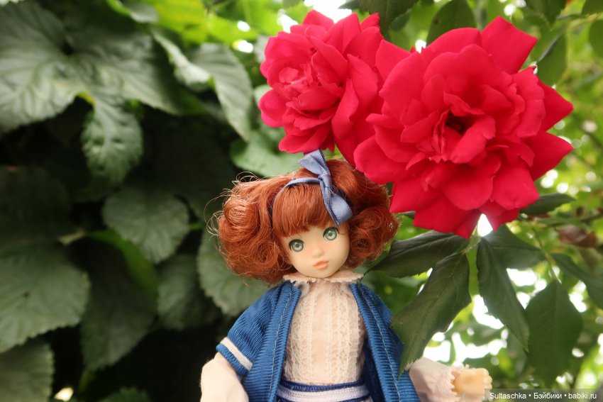 ФотоЧетверг. В стране чудес. По следам Алисы и белого кролика