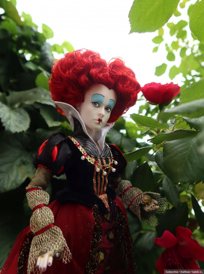 Ирацибета, Красная королева (фото 9)