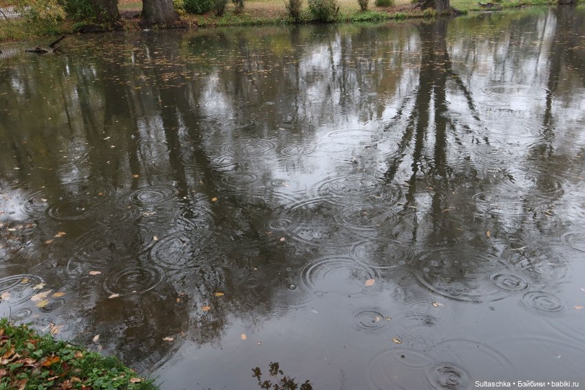 Женевьева и Серж. И снова прощание