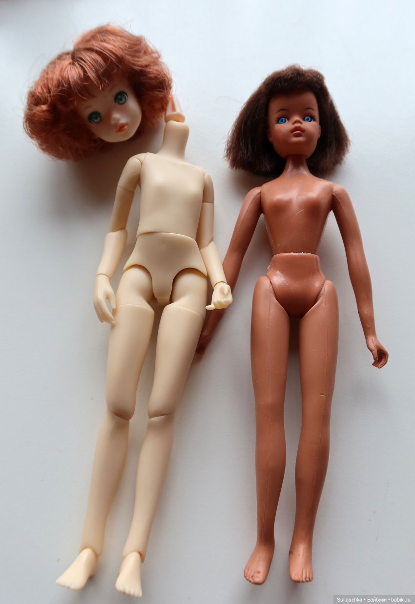 Поиск тел для Топси и Штепселя Буш