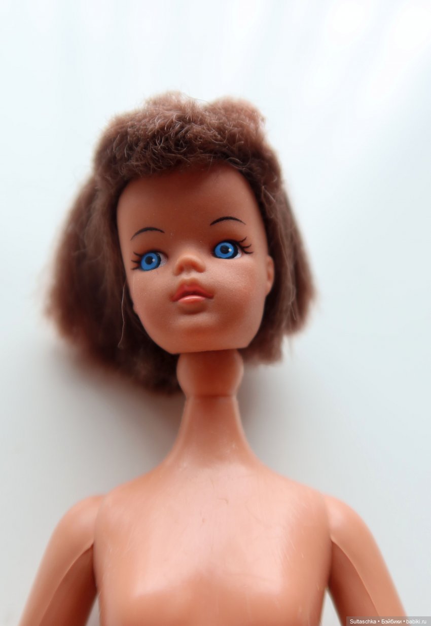 Поиск тел для Топси и Штепселя Буш (фото 4)