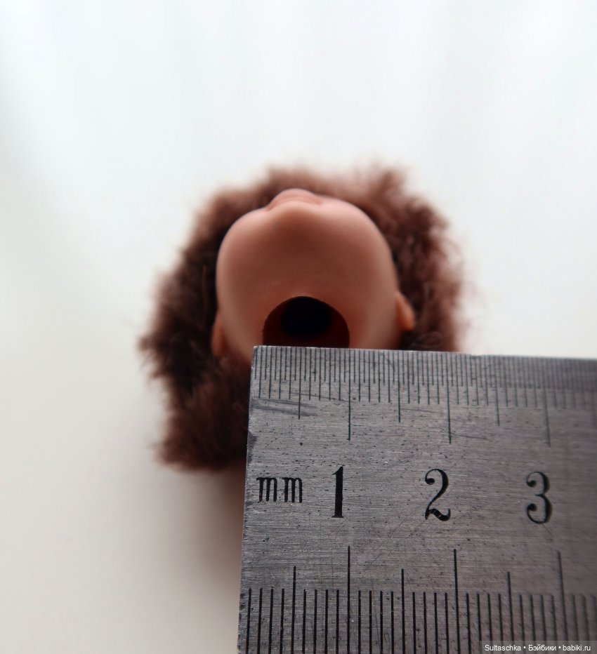 Поиск тел для Топси и Штепселя Буш (фото 6)