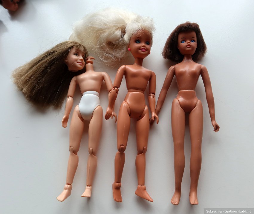 Поиск тел для Топси и Штепселя Буш