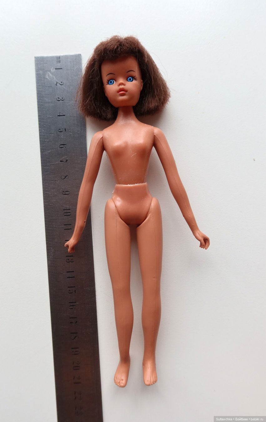 Поиск тел для Топси и Штепселя Буш (фото 2)