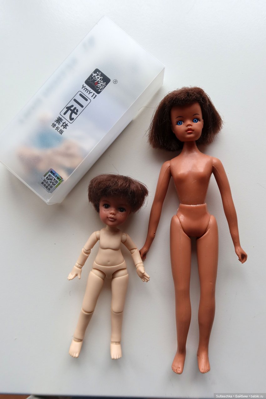 Поиск тел для Топси и Штепселя Буш