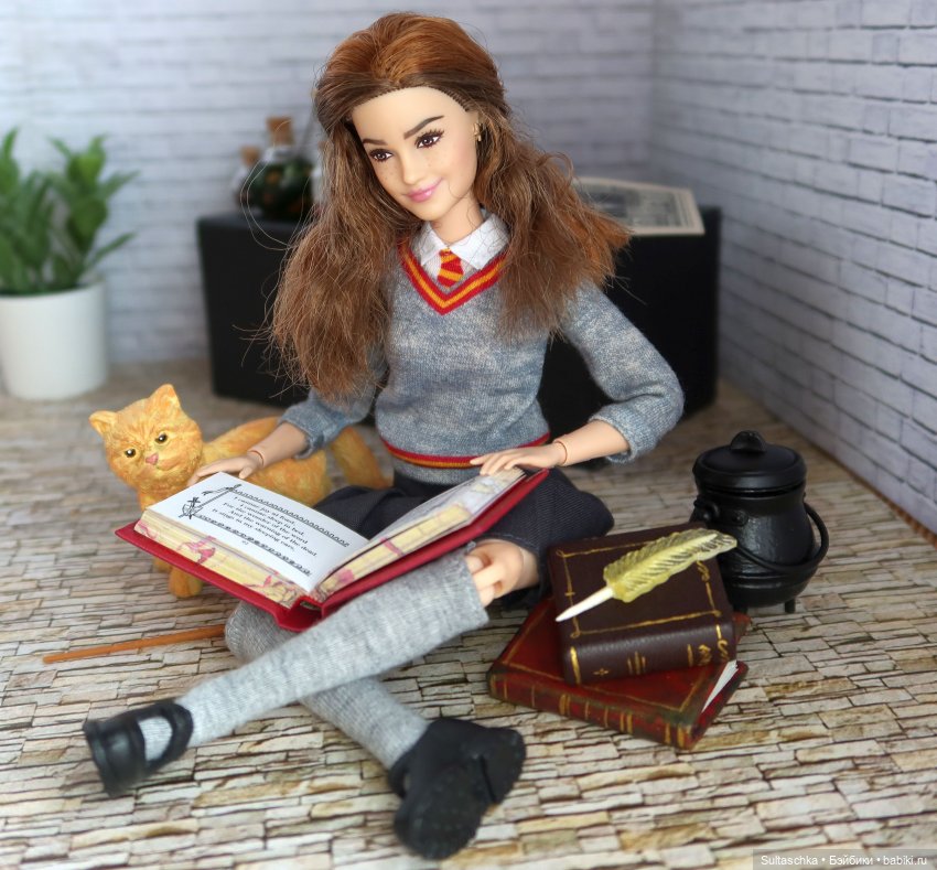 Привет от Гермионы — Куклы Harry Potter (Гарри Поттер) Mattel: Wizarding World