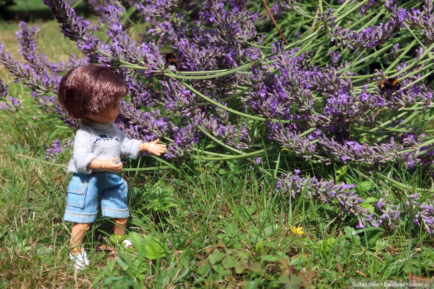 Все-превсе на букву "Ш" — Куклы Barbie (Барби): Looks