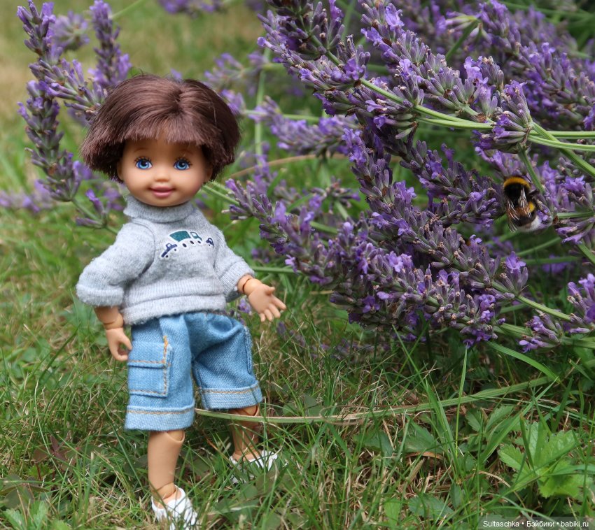 Все-превсе на букву "Ш" — Куклы Barbie (Барби): Looks