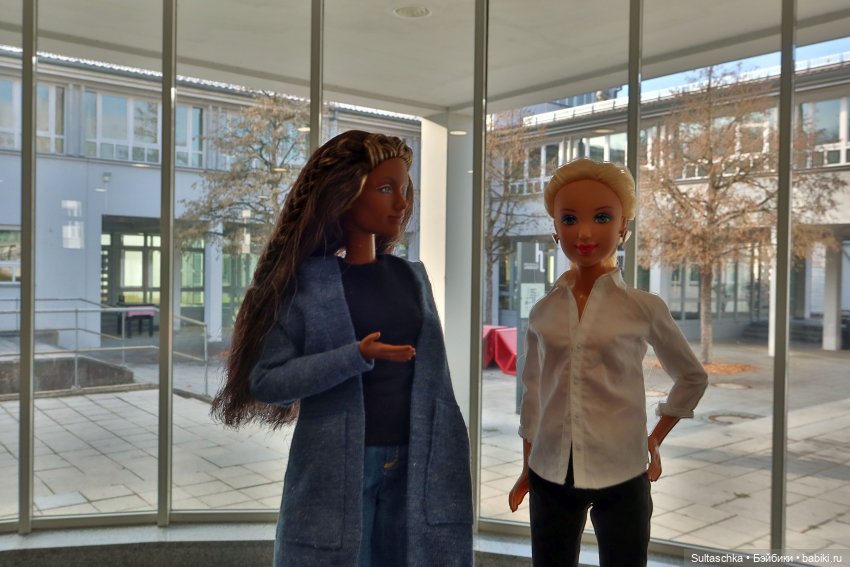 Ашхен. Рабочие будни — Куклы Barbie (Барби): Looks (фото 7)