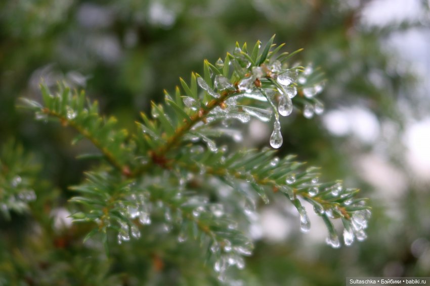 Лауша. Стеклянная сказка — Туризм и путешествия: фотоотчеты из поездок (фото 4)