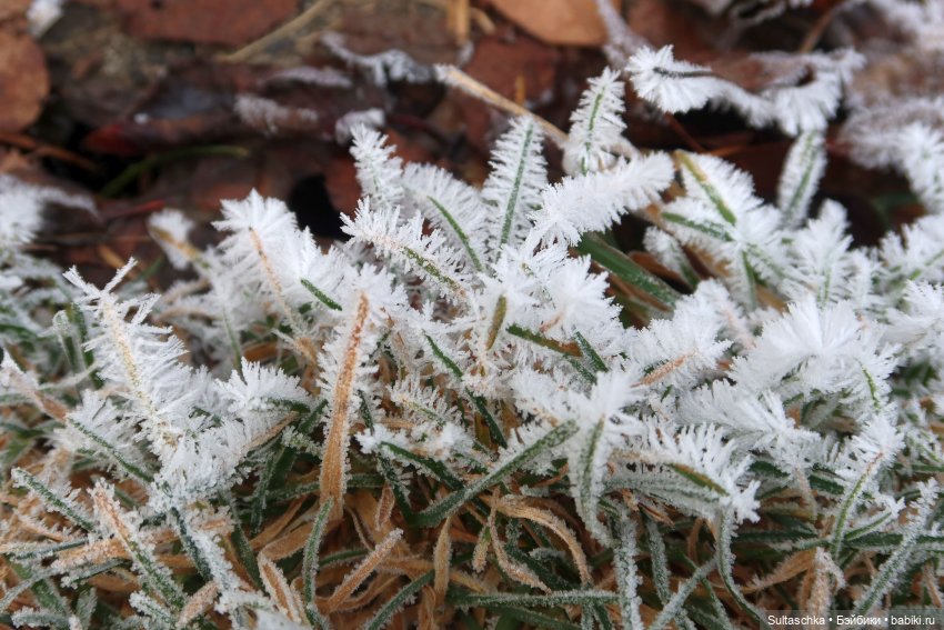 Итоги года — Итоги года и челленджи: Кукольные планы