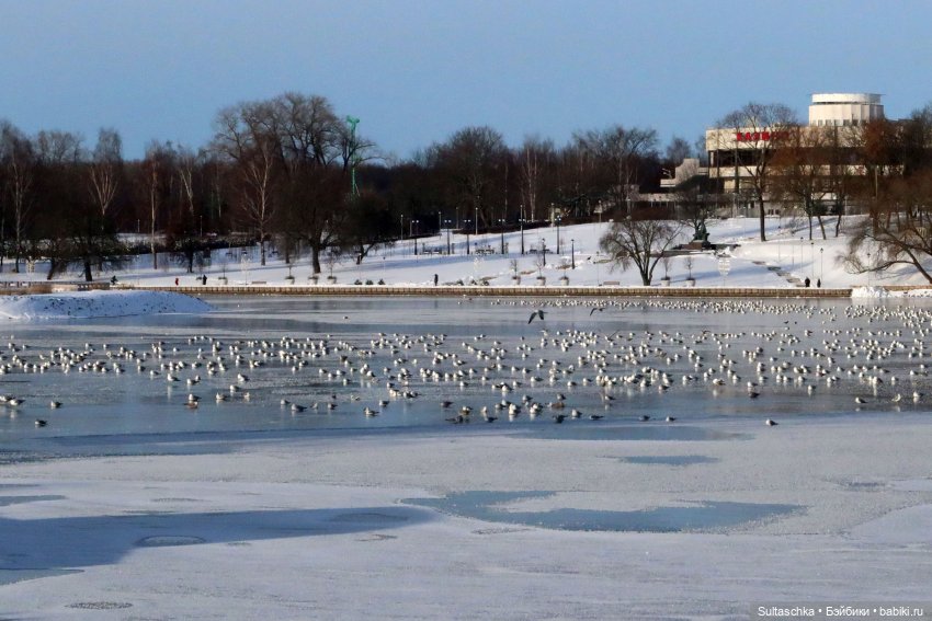 ФотоЧетверг. Снег-снежок — Онлайн совместное творчество (фото 7)