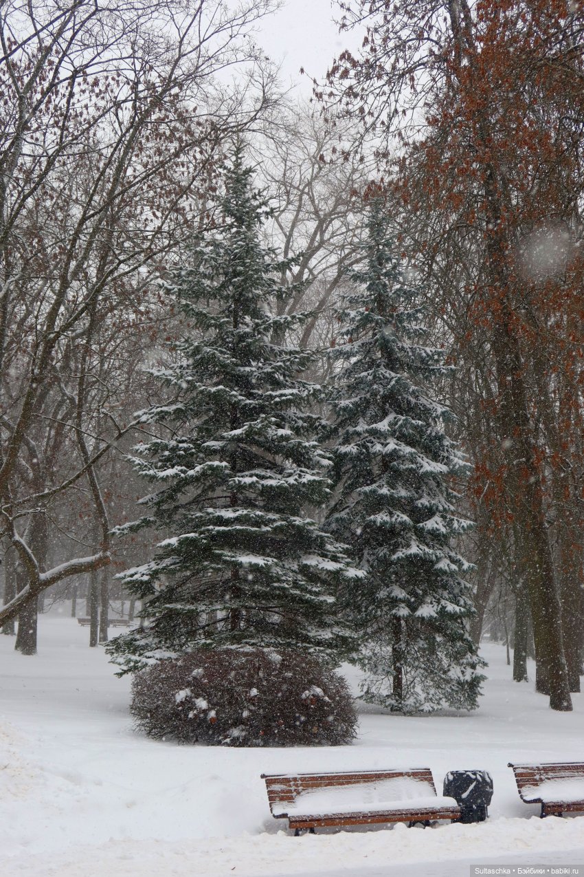 ФотоЧетверг. Снег-снежок — Онлайн совместное творчество (фото 3)