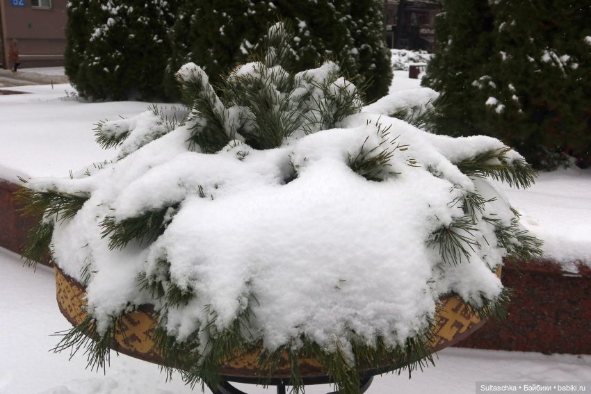 ФотоЧетверг. Снег-снежок — Онлайн совместное творчество (фото 4)