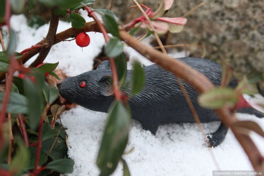 Нибин в пути — Кукольные фотоистории и сериалы: комиксы (фото 3)