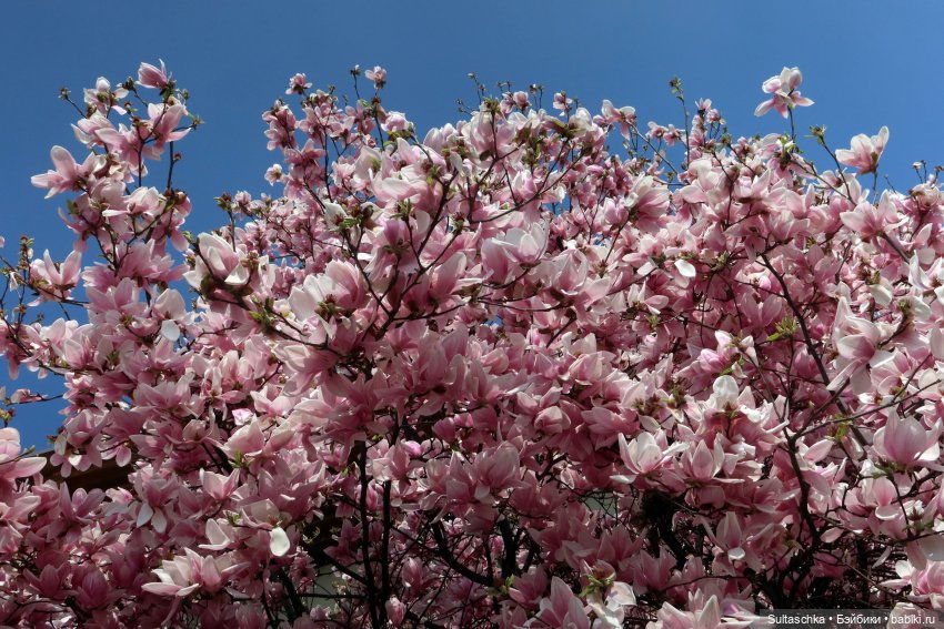 ФотоЧетверг. Герои кинематографа на куклополках