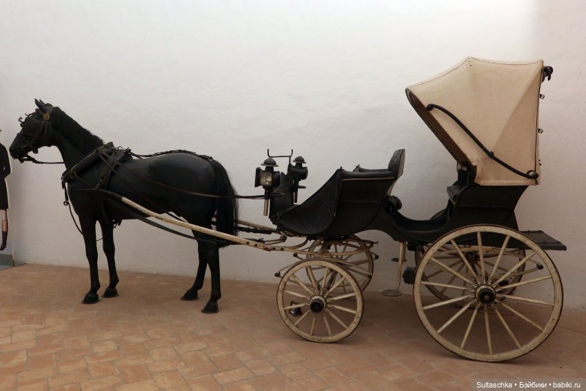 ФотоЧетверг. В кадре — колесо (фото 5)