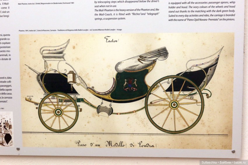 ФотоЧетверг. В кадре — колесо (фото 6)