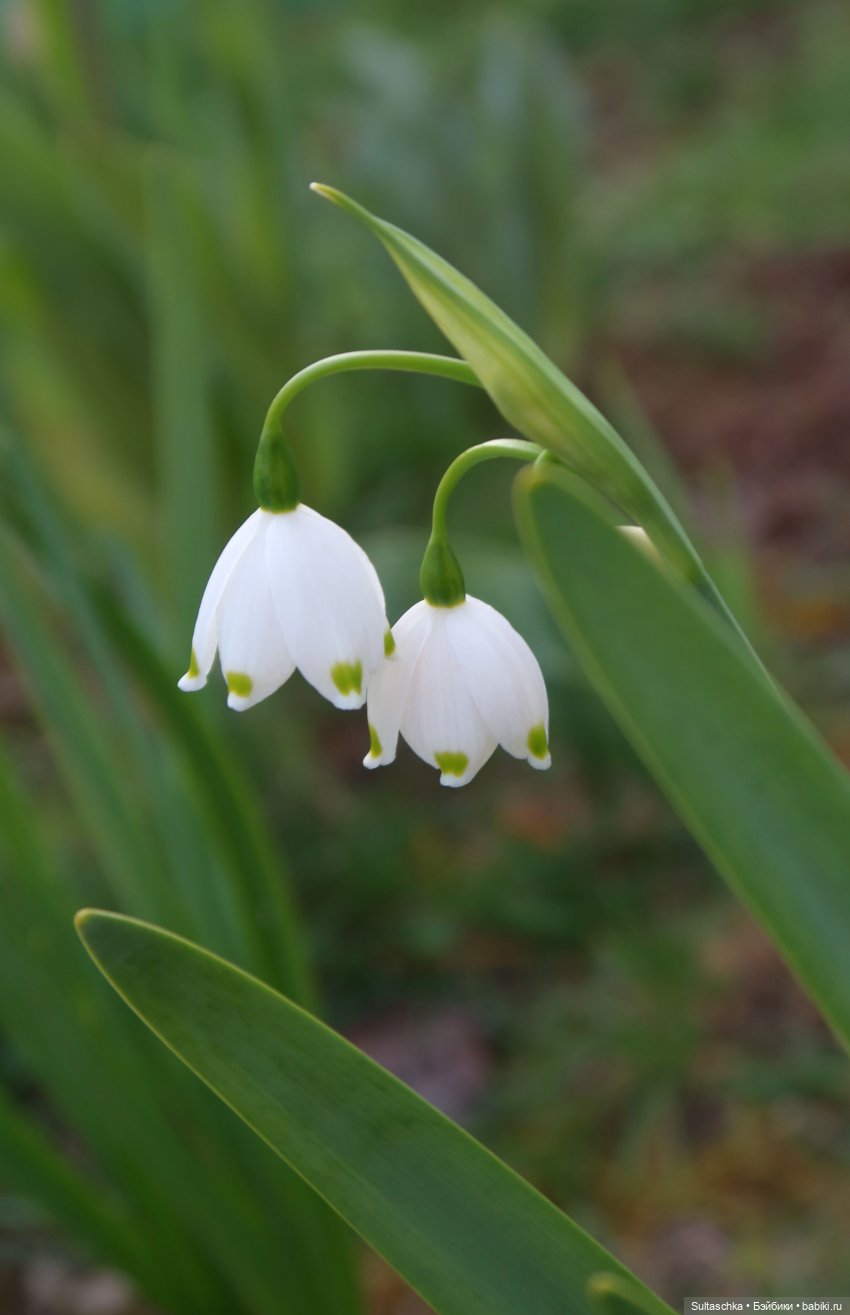ФотоЧетверг. Книга — наш лучший друг