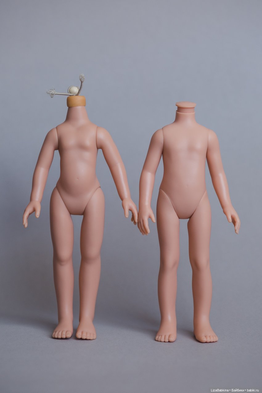 Обзор тел для Paola Reina (фото 6)