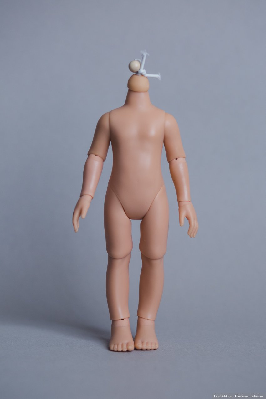 Обзор тел для Paola Reina