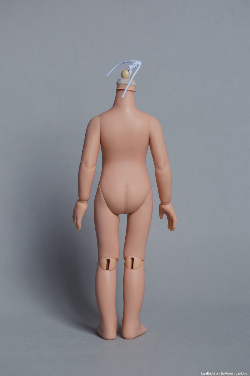 Обзор тел для Paola Reina