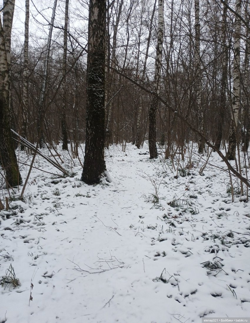 Прогулка в лесу — Куклы BTS (БТС) от Mattel: K (фото 2)