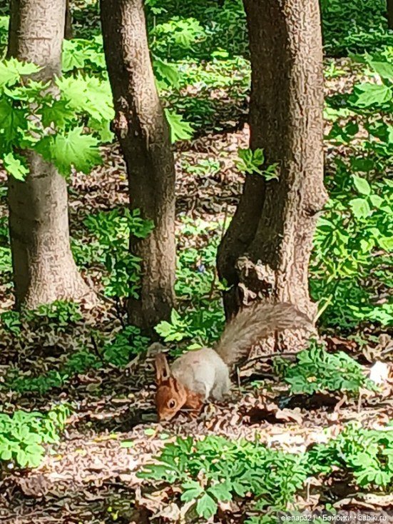 В цветочках — Куклы BTS (БТС) от Mattel: K (фото 3)