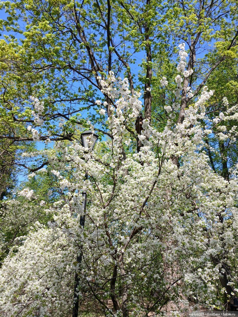 В цветочках — Куклы BTS (БТС) от Mattel: K (фото 5)