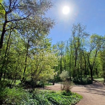 В цветочках