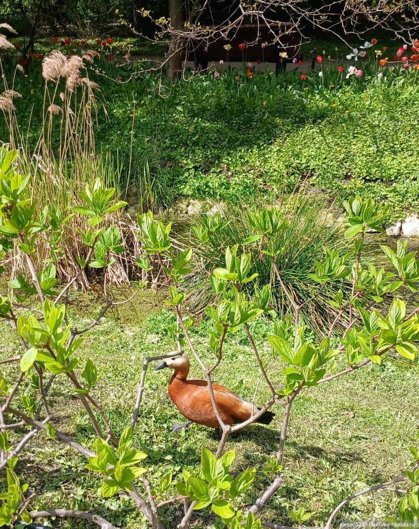 Аптекарский весной — Куклы BTS (БТС) от Mattel: K