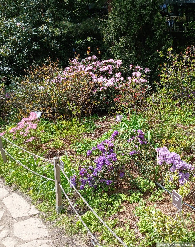 Аптекарский весной — Куклы BTS (БТС) от Mattel: K