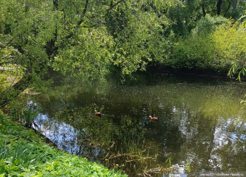 Аптекарский весной — Куклы BTS (БТС) от Mattel: K (фото 10)