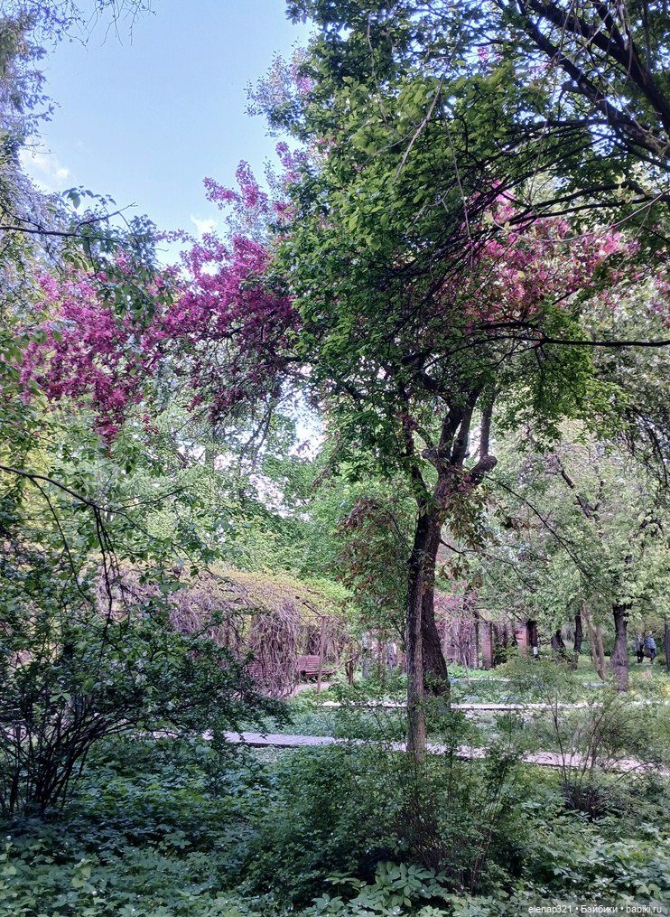 Аптекарский весной — Куклы BTS (БТС) от Mattel: K (фото 4)