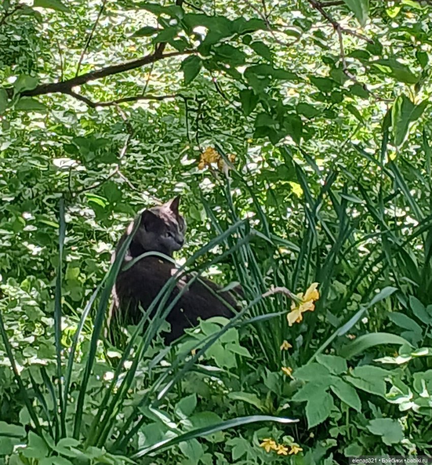 Аптекарский весной — Куклы BTS (БТС) от Mattel: K (фото 6)