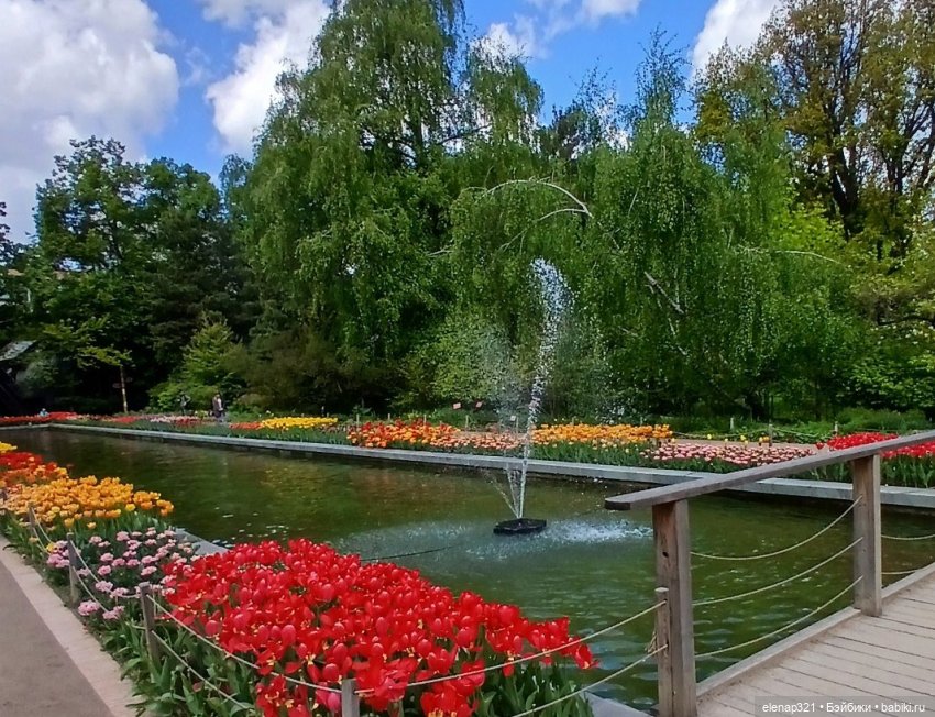 Аптекарский весной — Куклы BTS (БТС) от Mattel: K